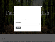 Tablet Screenshot of fairfaxpinesenglishlabradors.com